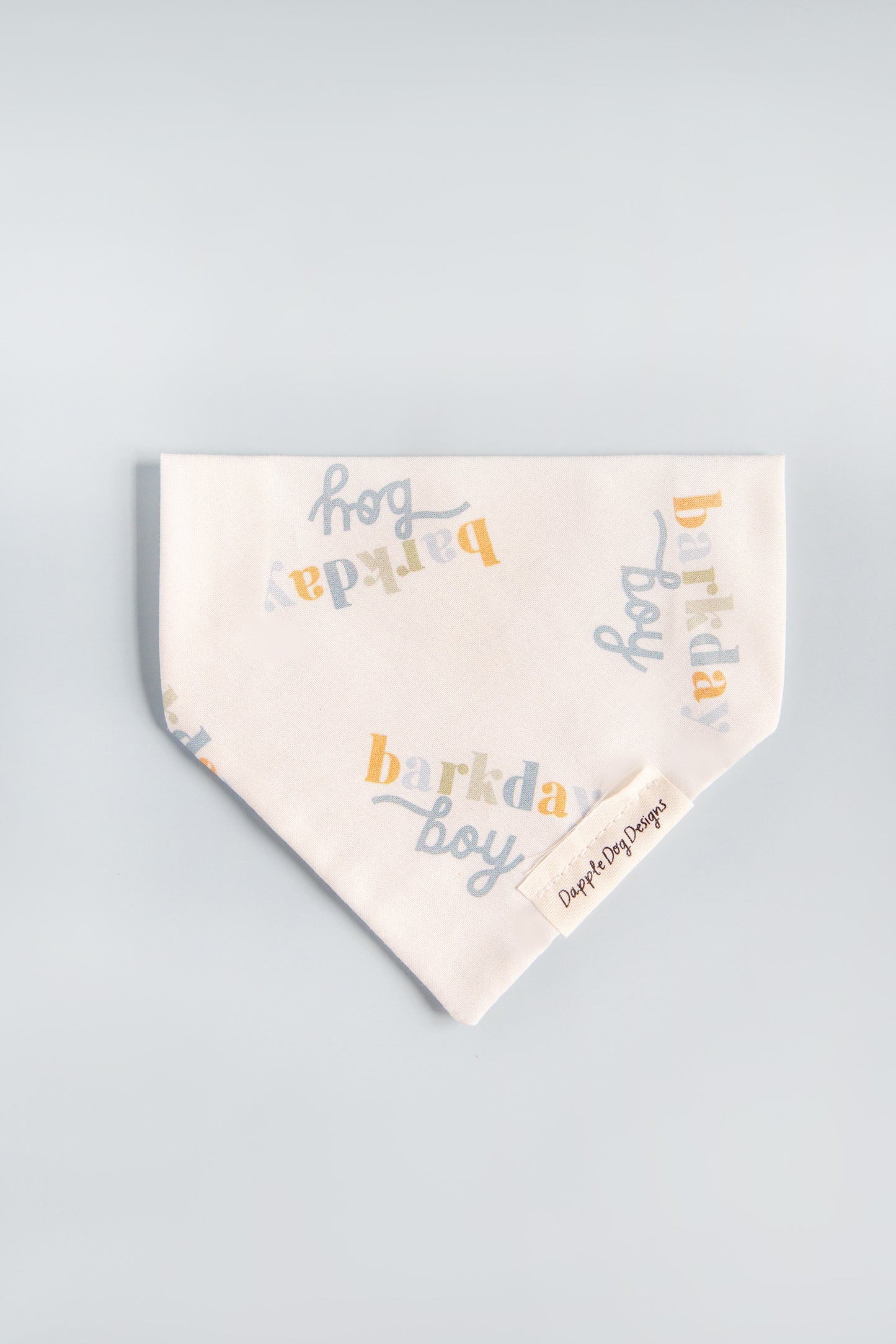 Barkday Boy Bandana