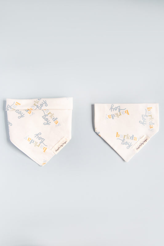 Barkday Boy Bandana