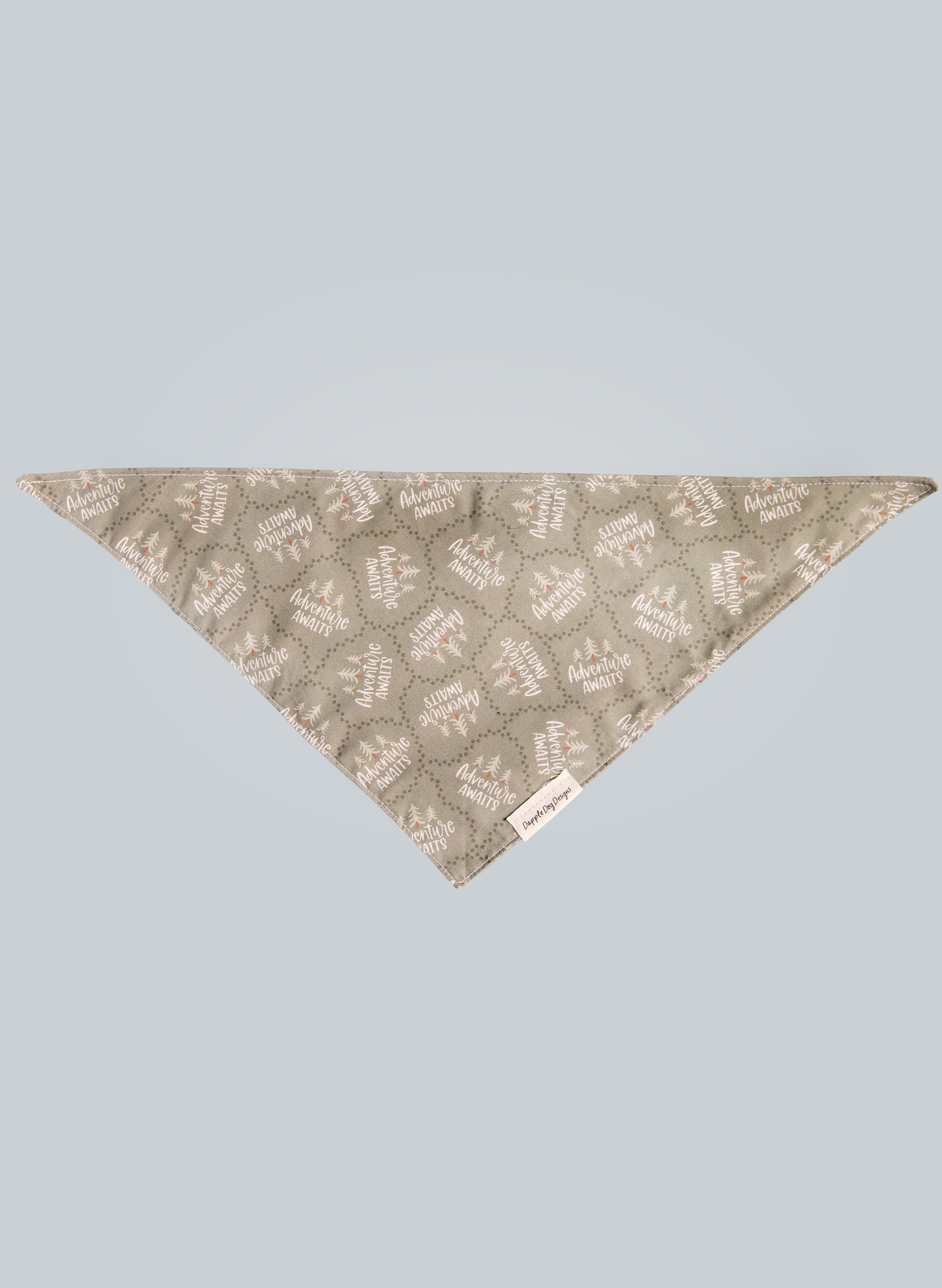 Adventure Awaits Bandana
