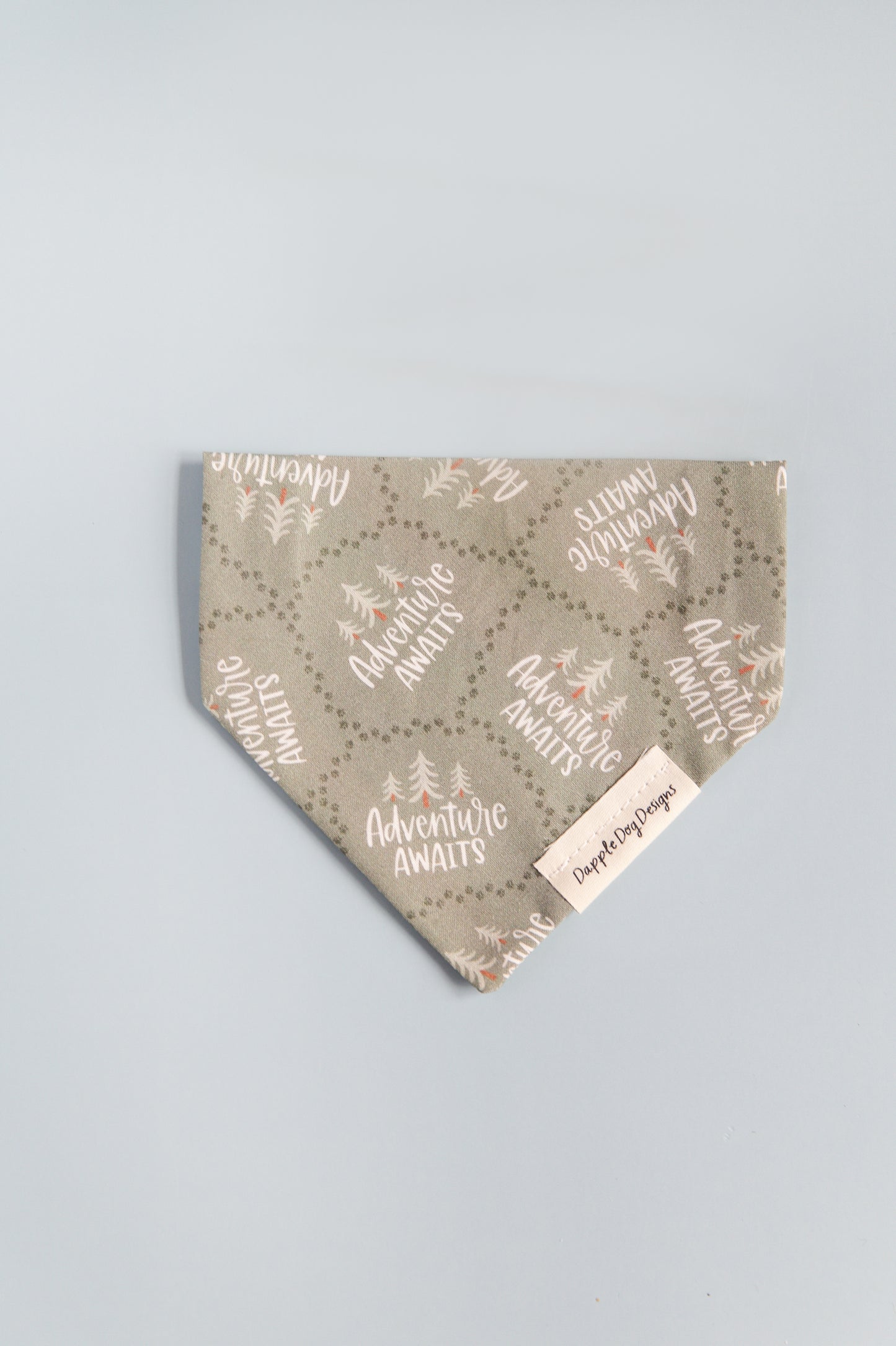 Adventure Awaits Bandana