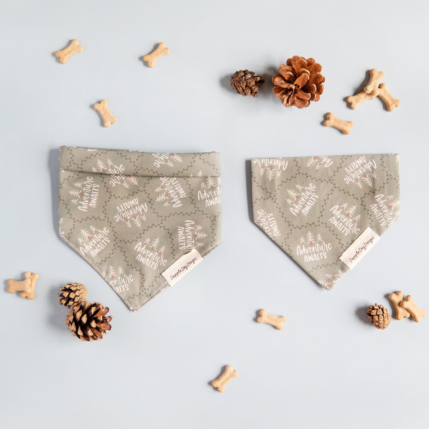 Adventure Awaits Bandana