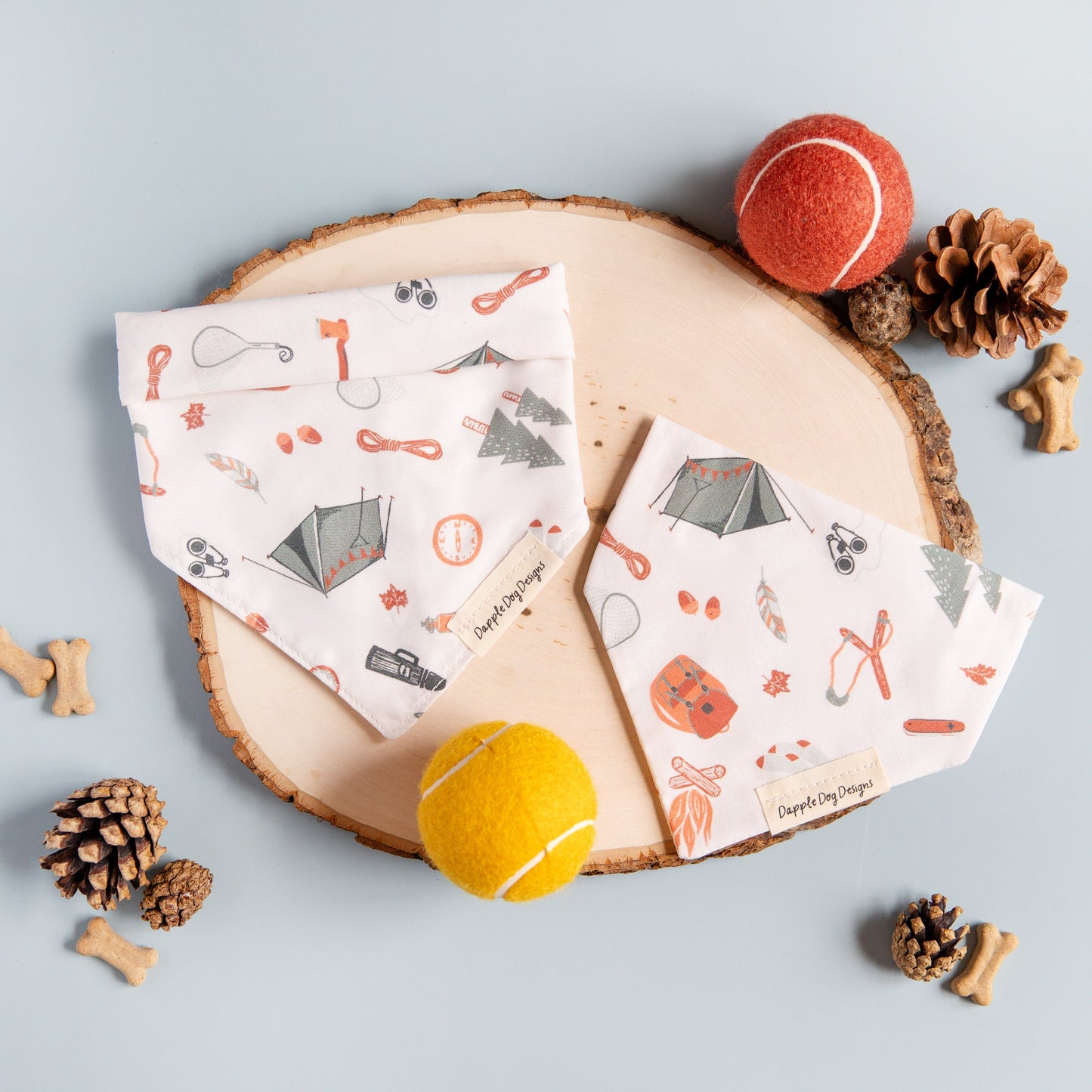 Camping Trip Bandana