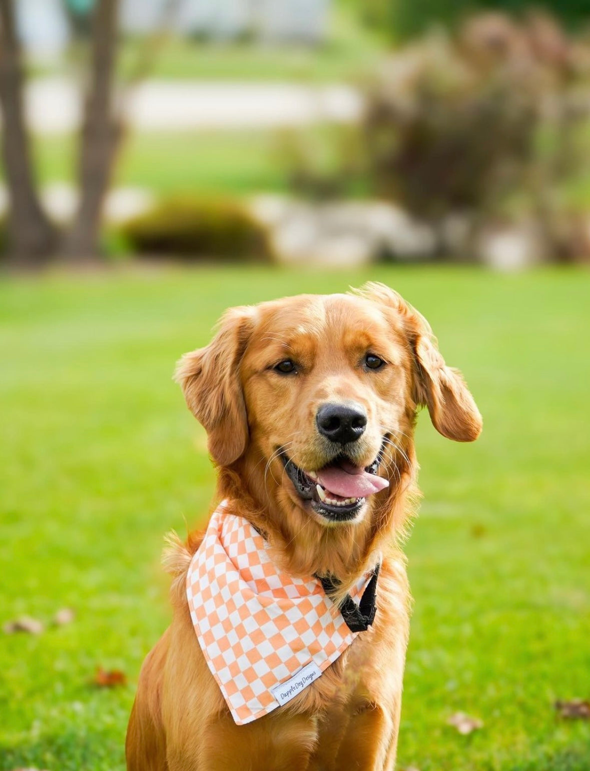 Orange Checkered Bandana