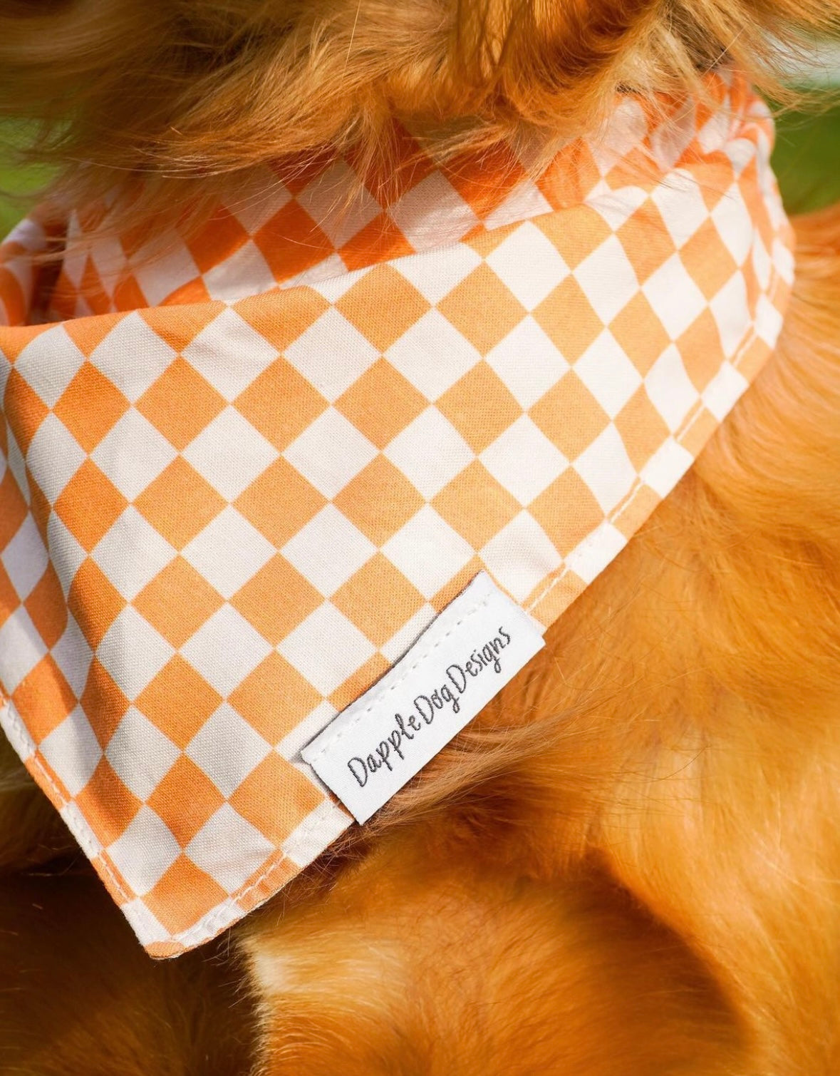 Orange Checkered Bandana