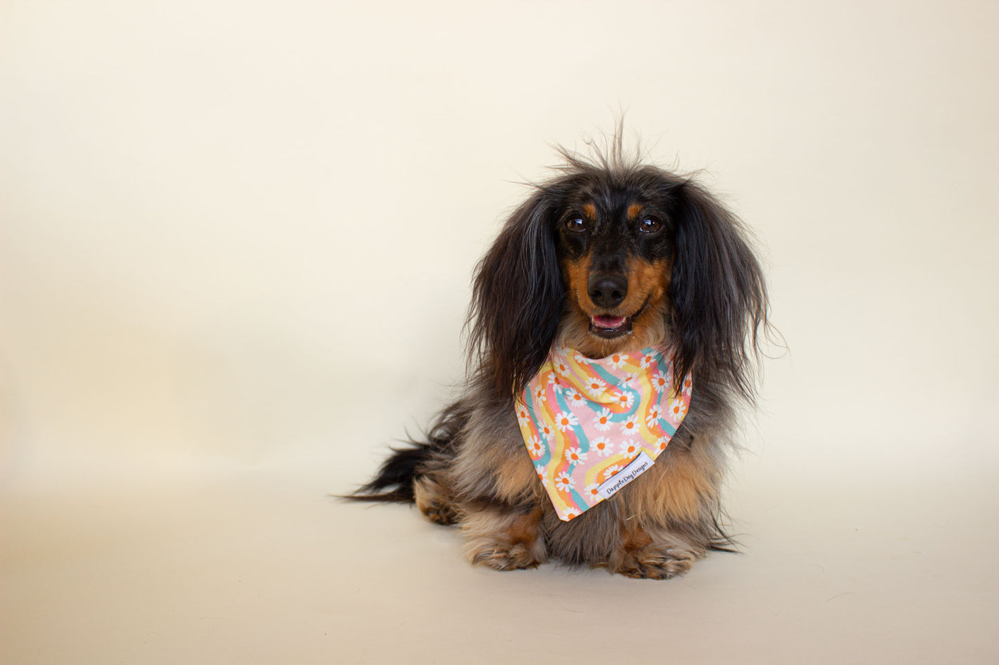 Groovy Daisies Bandana