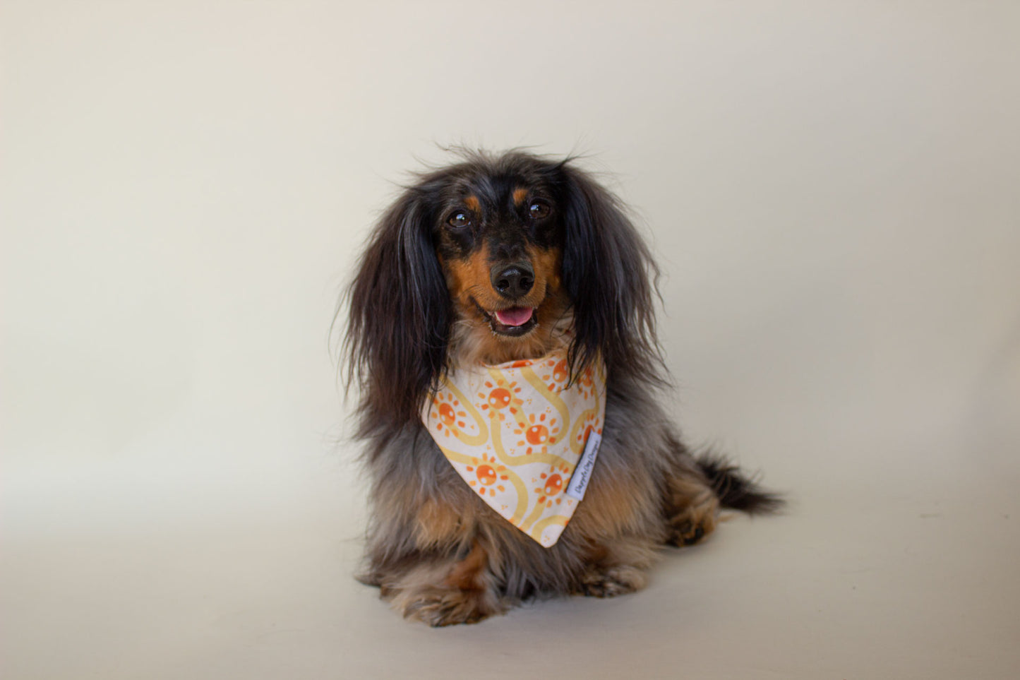 Groovy Suns Bandana