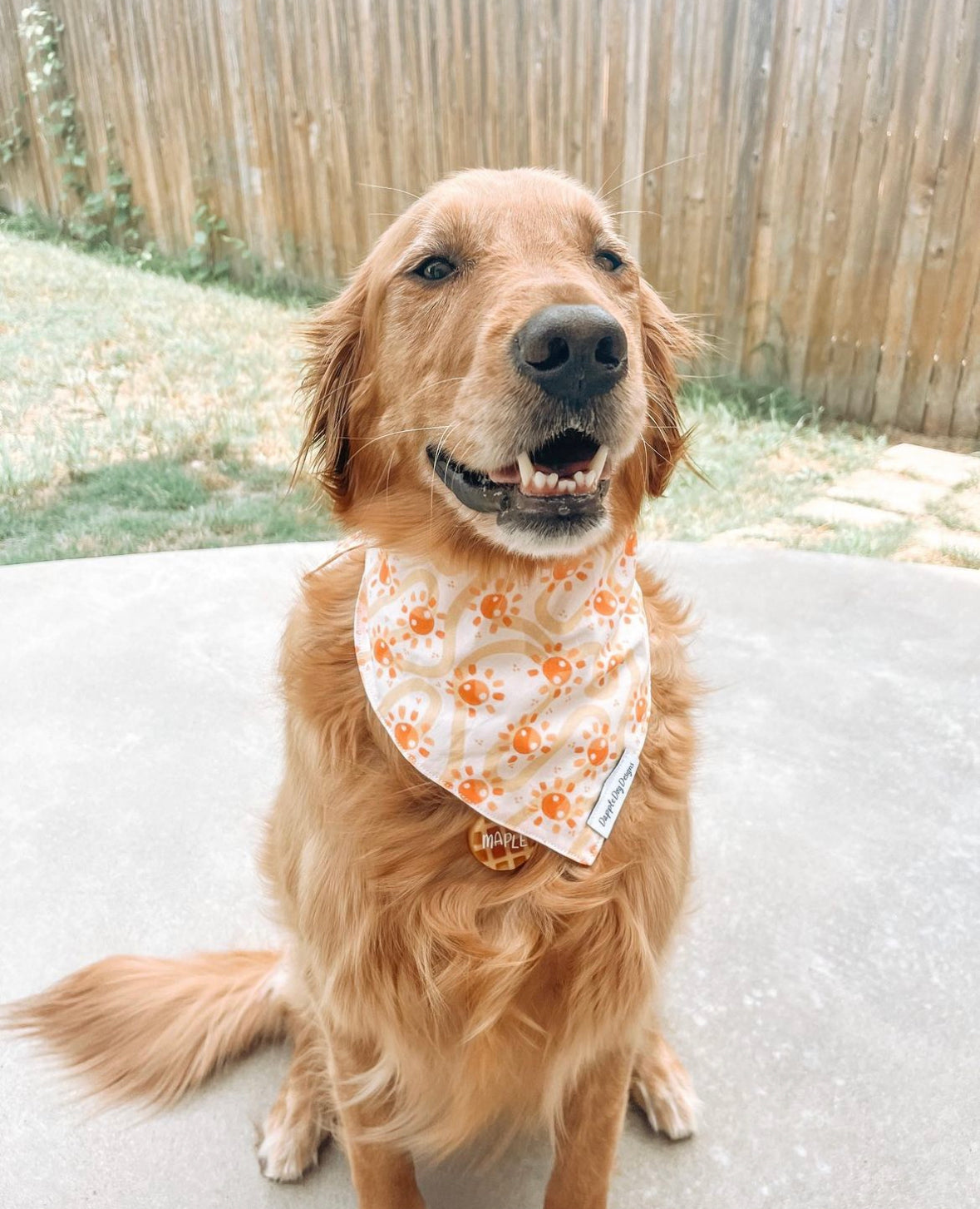 Groovy Suns Bandana
