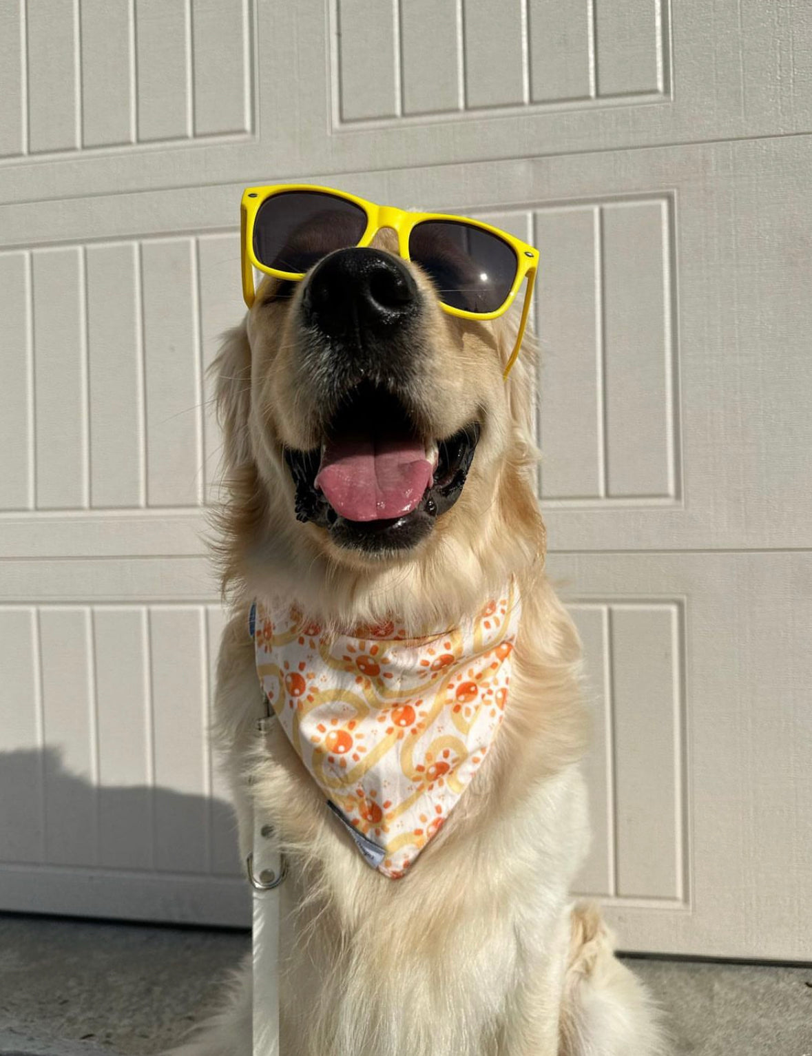 Groovy Suns Bandana
