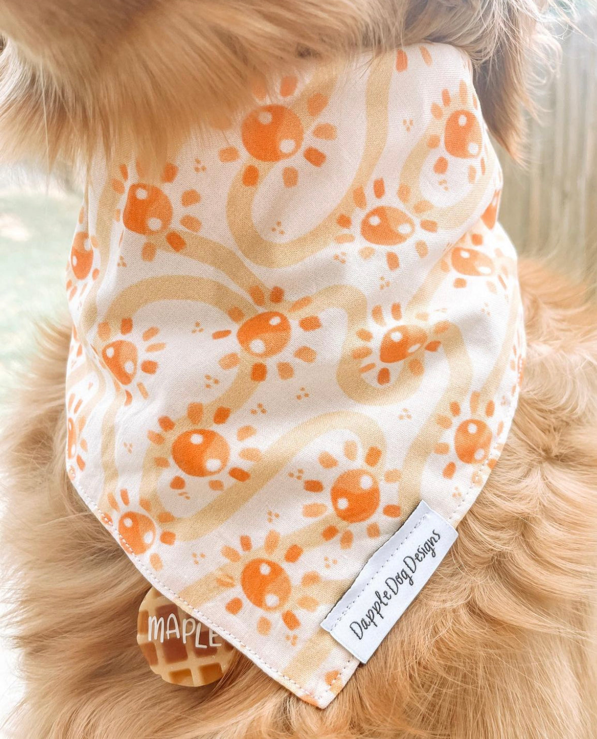 Groovy Suns Bandana