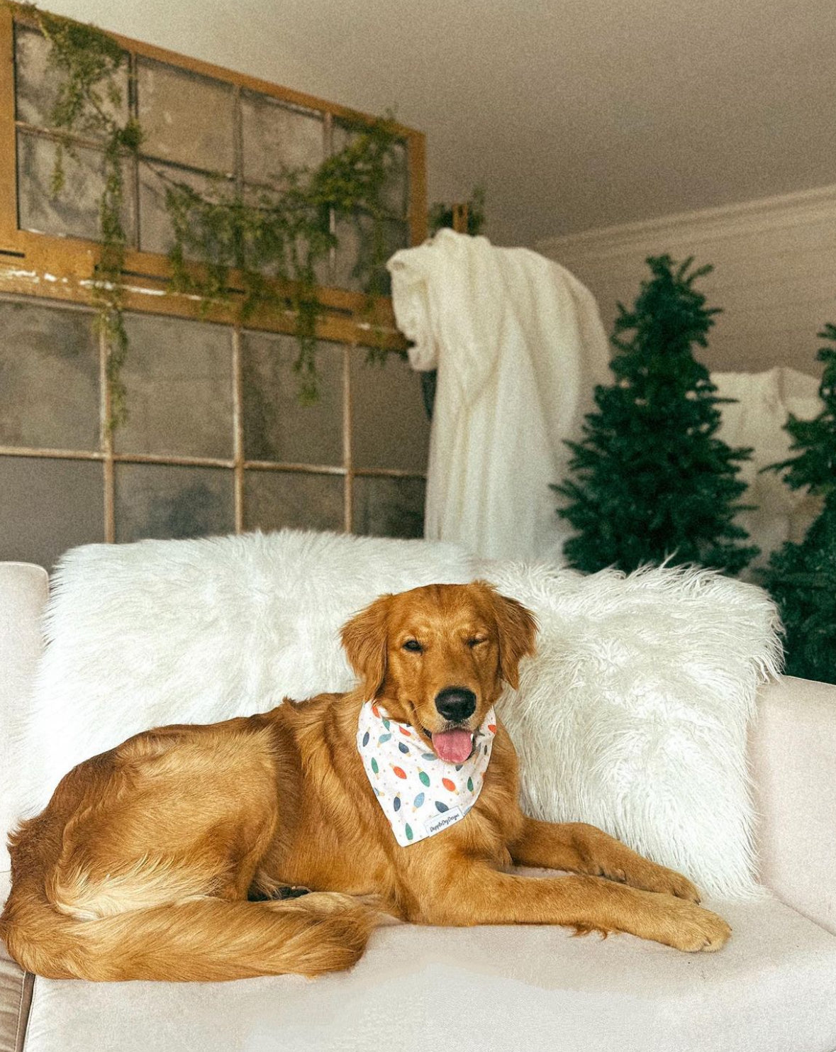 Festive Lights Bandana