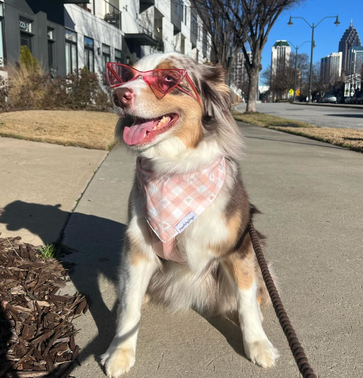 Plaid Hearts Bandana