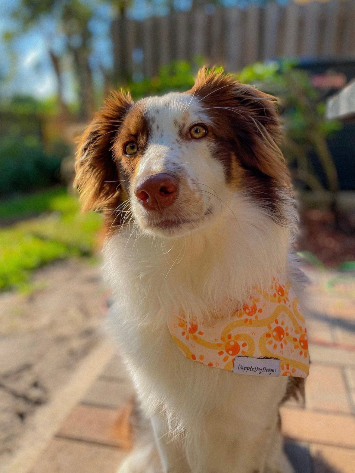 Groovy Suns Bandana