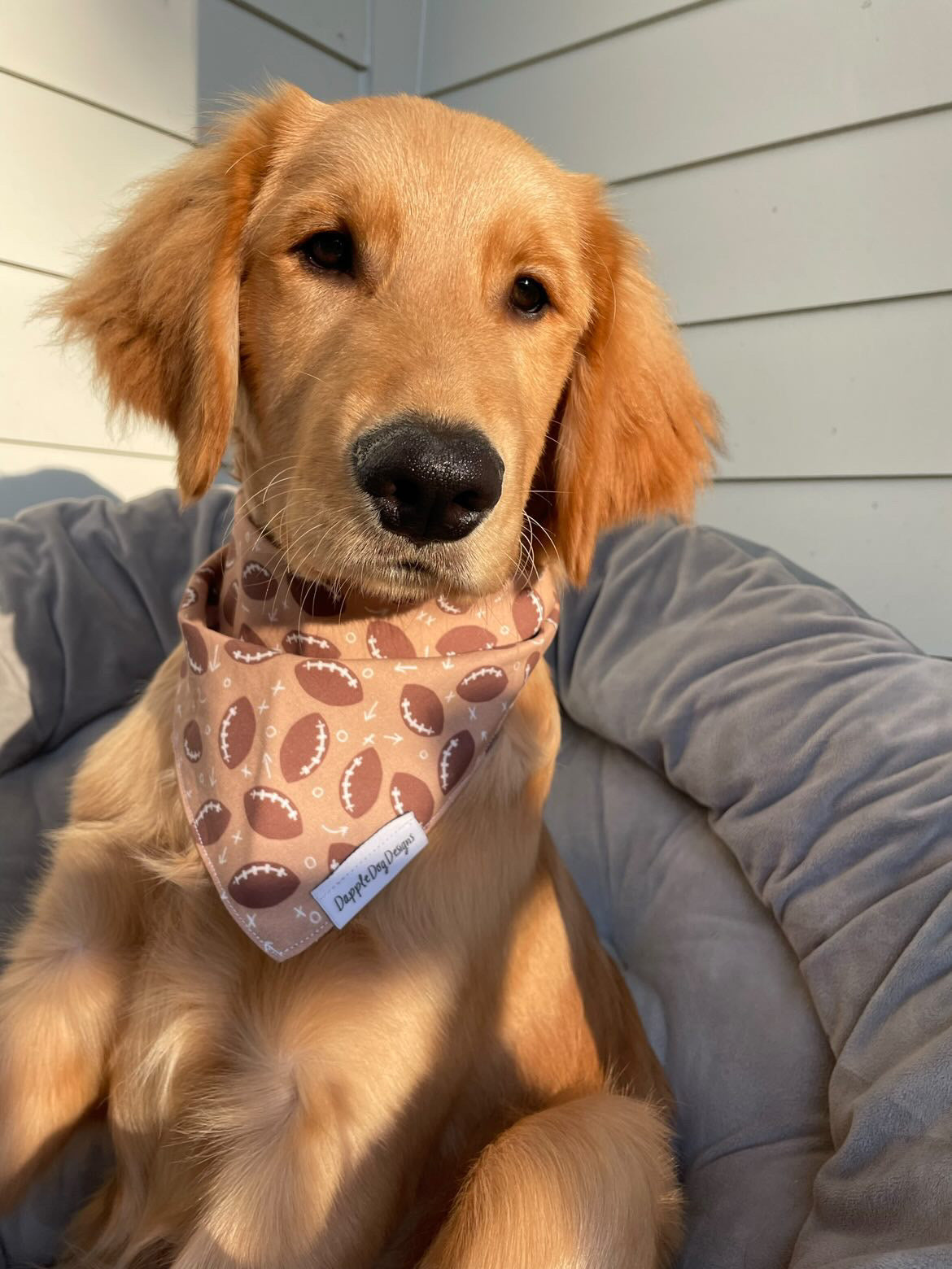 Football Bandana