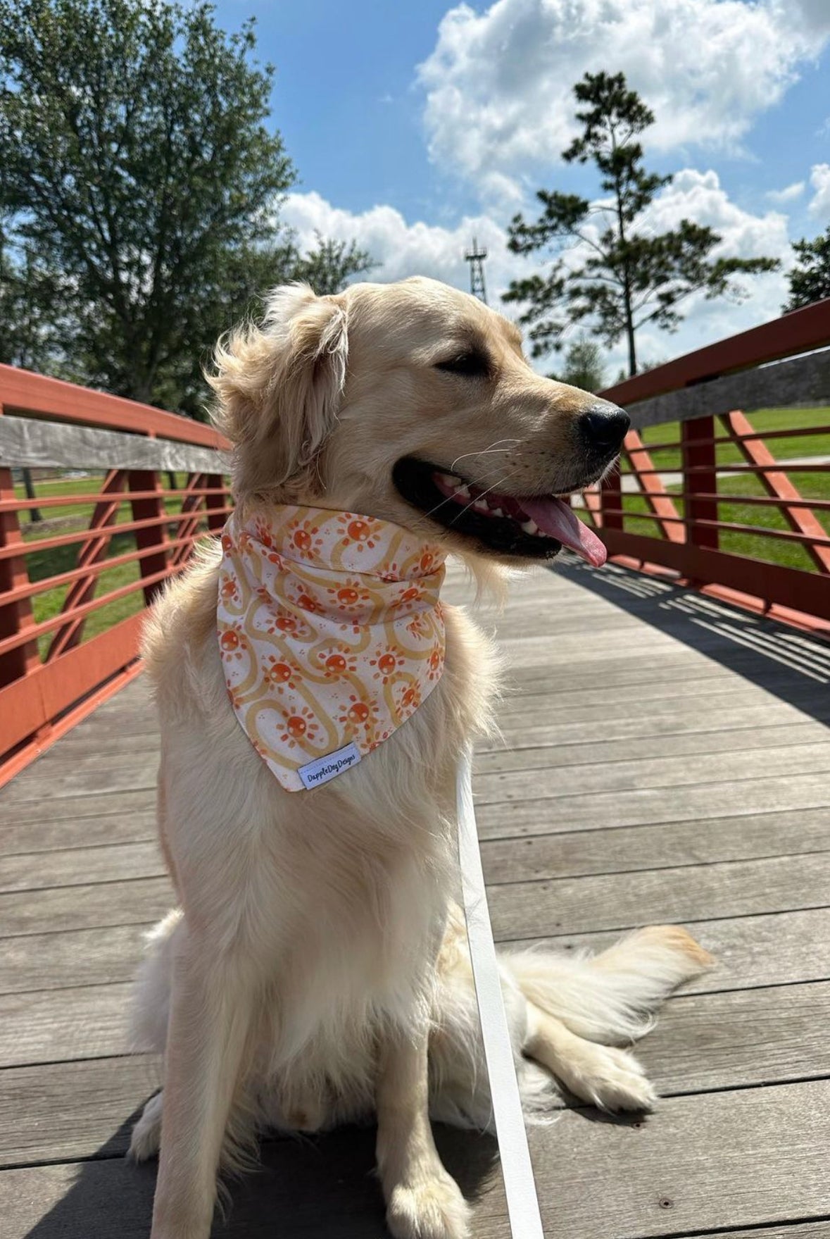 Groovy Suns Bandana