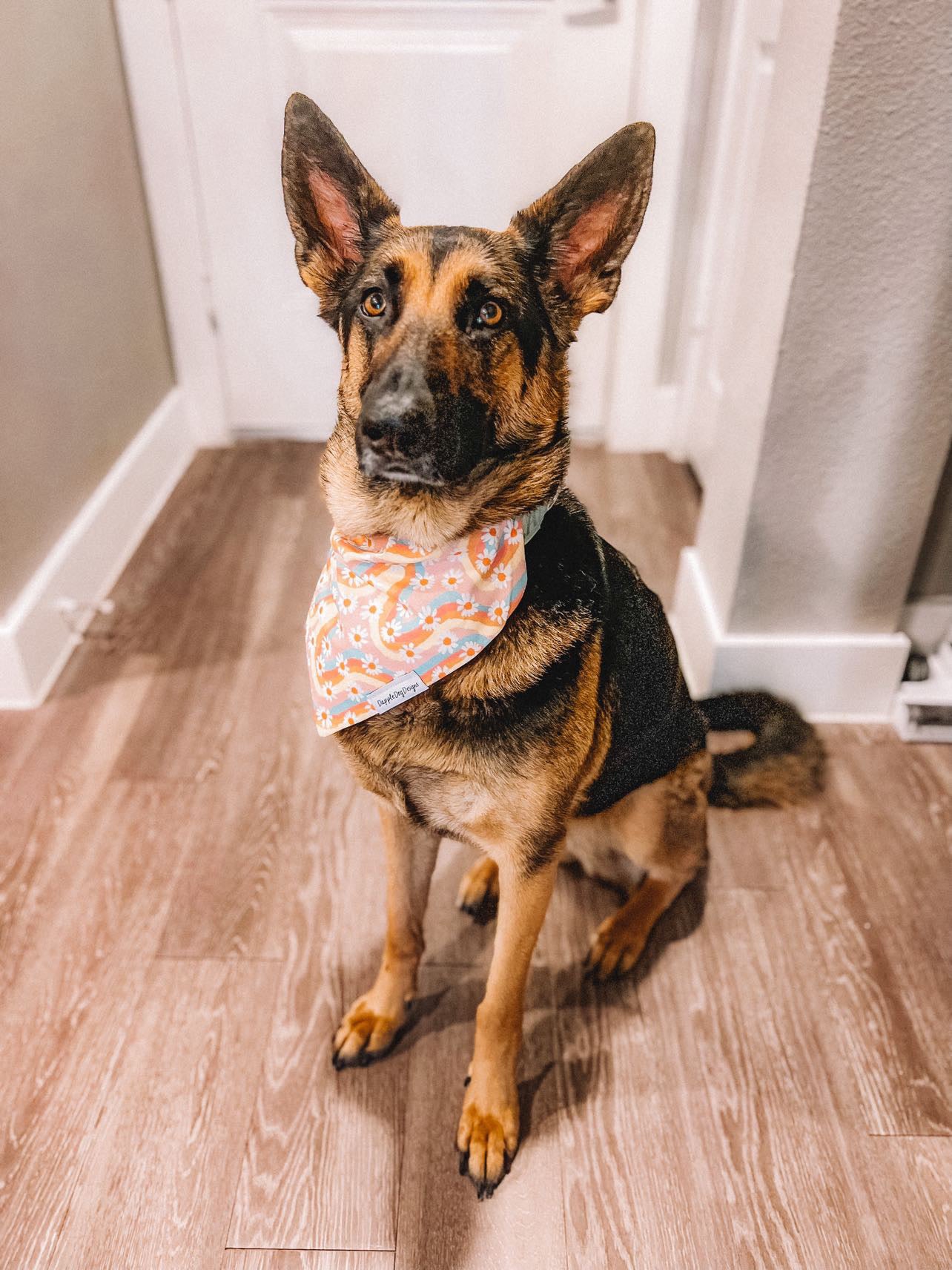 Groovy Daisies Bandana