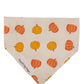 Harvest Pumpkins Bandana
