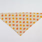 Harvest Pumpkins Bandana