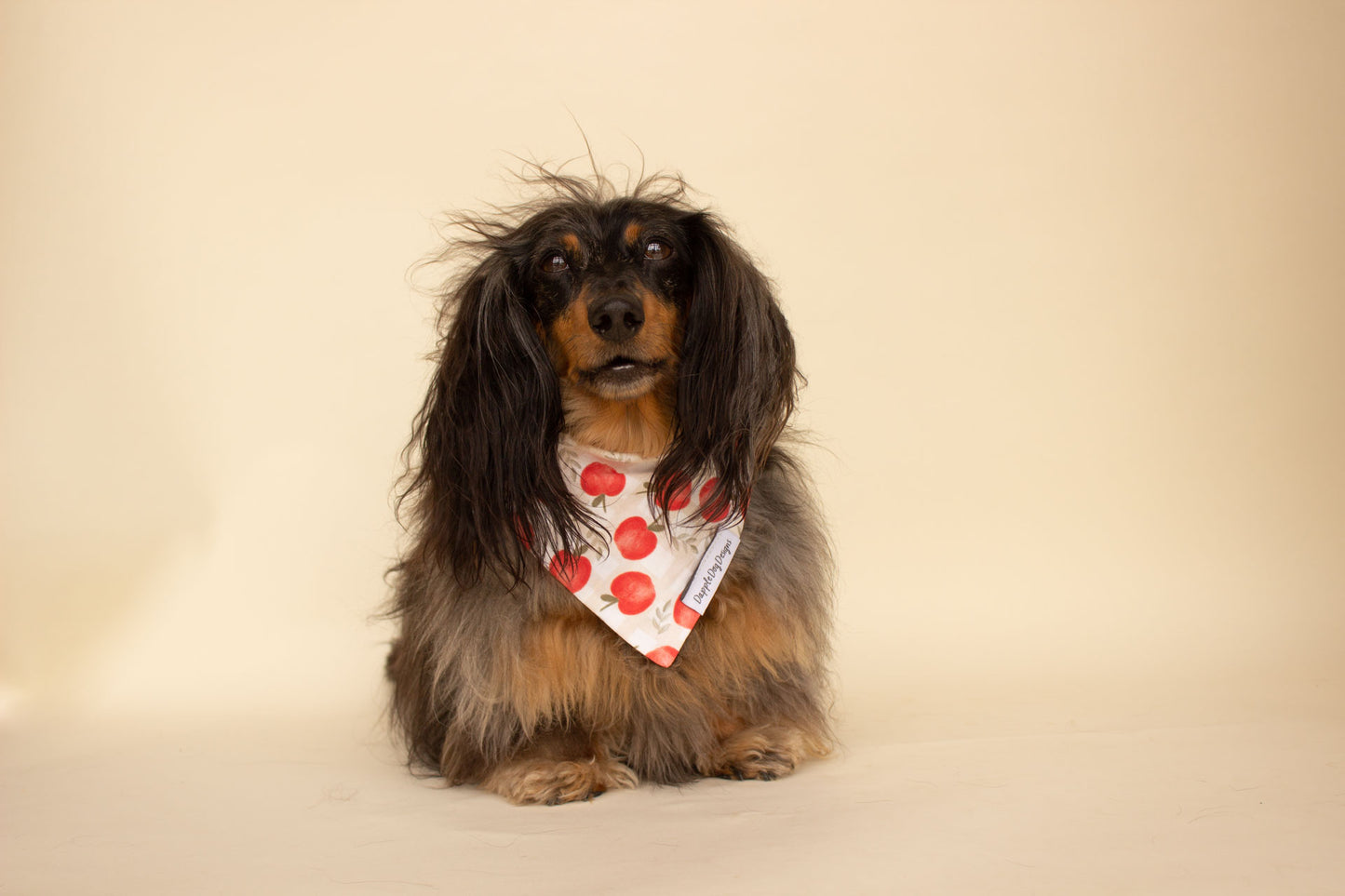 Fall Apples Bandana