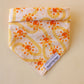 Groovy Suns Bandana