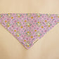 Let's Paint Bandana