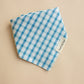 Blue Spring Plaid Bandana