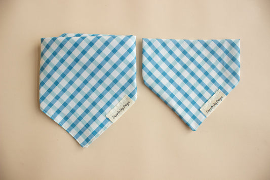 Blue Spring Plaid Bandana