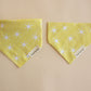 Sunshine Bandana