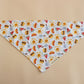 Summer Barbecue Bandana