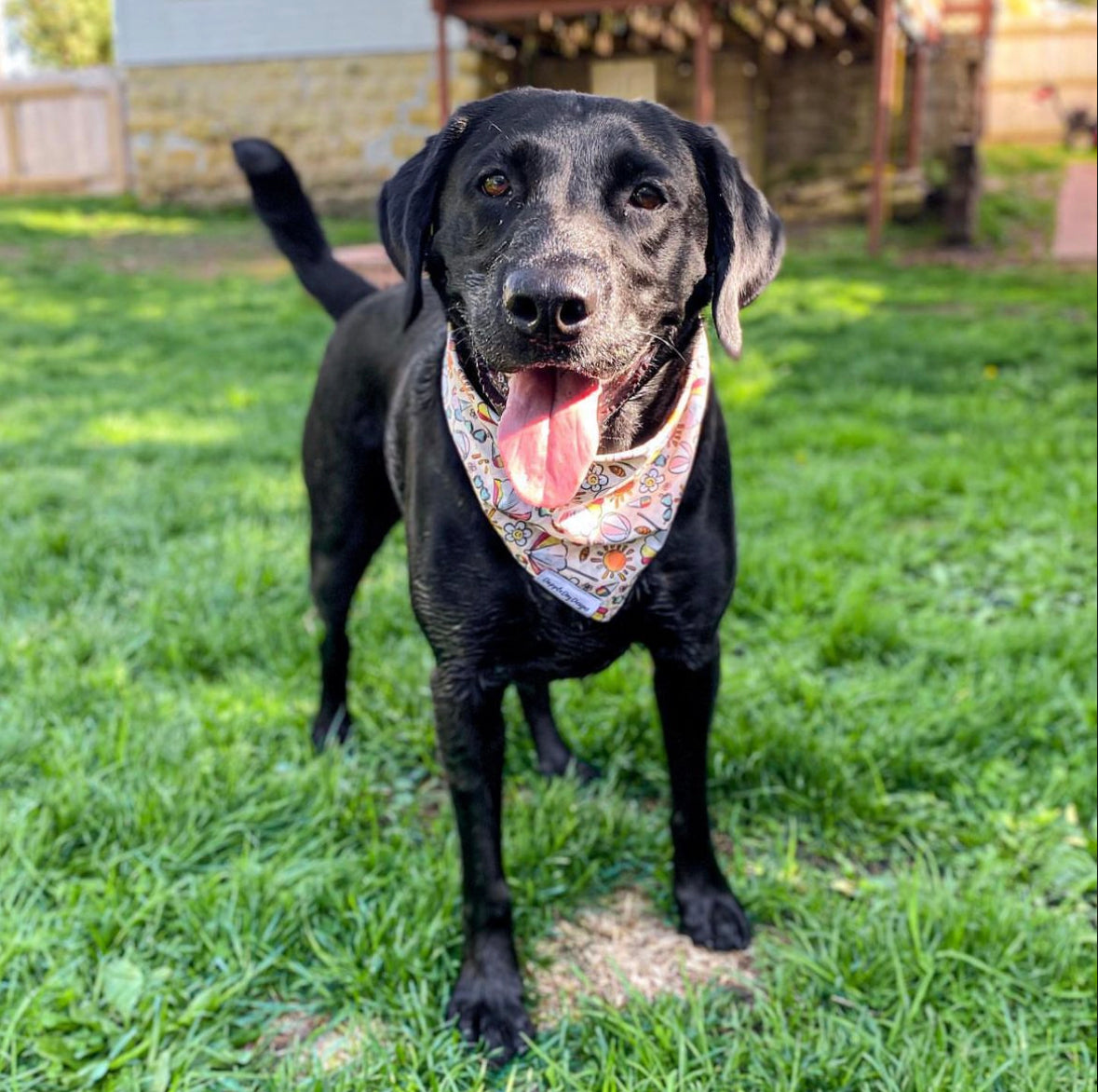 Beach Day Bandana