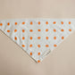 Pumpkin Toss Bandana