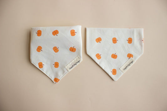 Pumpkin Toss Bandana