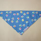 Beach Ball Bandana