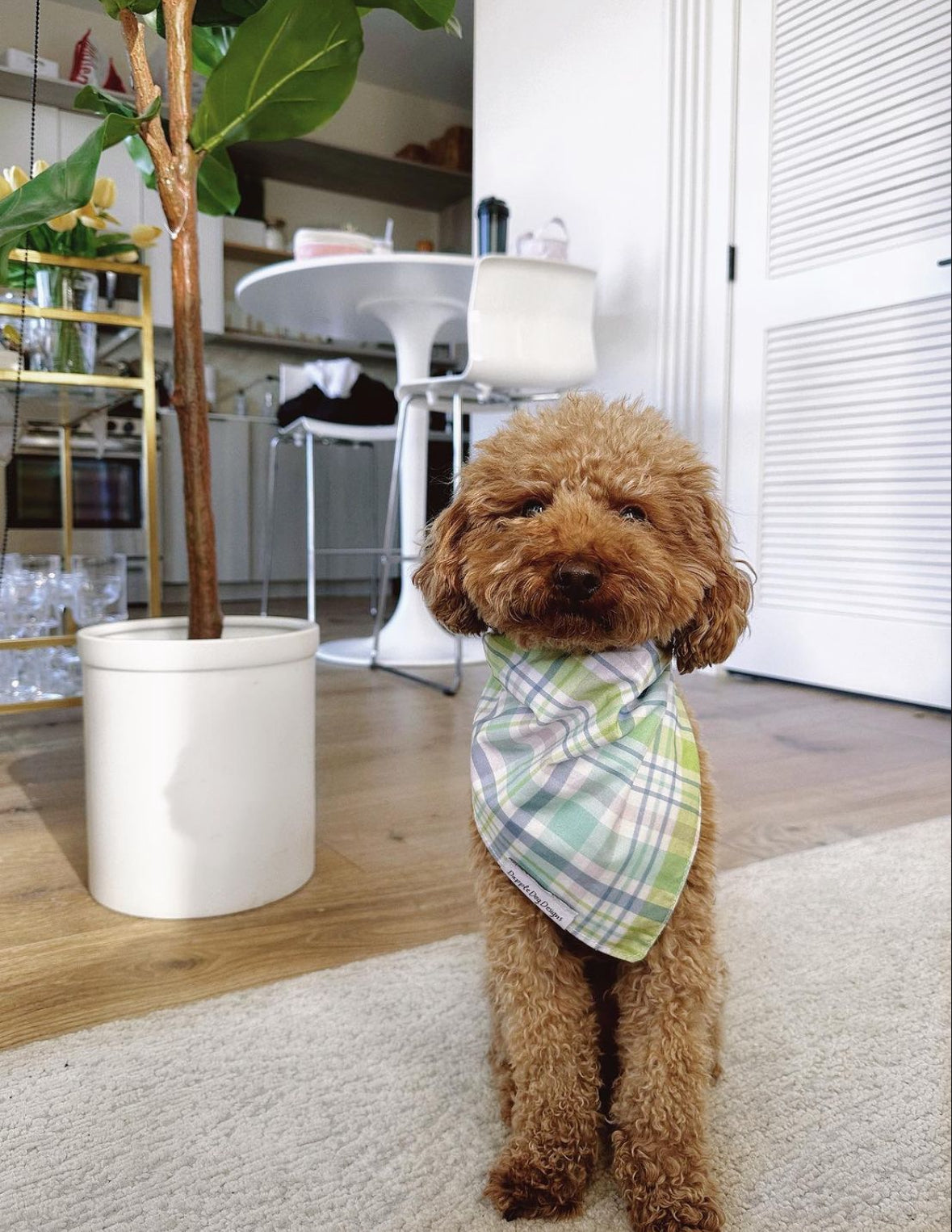 Spring Plaid Bandana