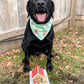 Gingerbread Doghouses Bandana