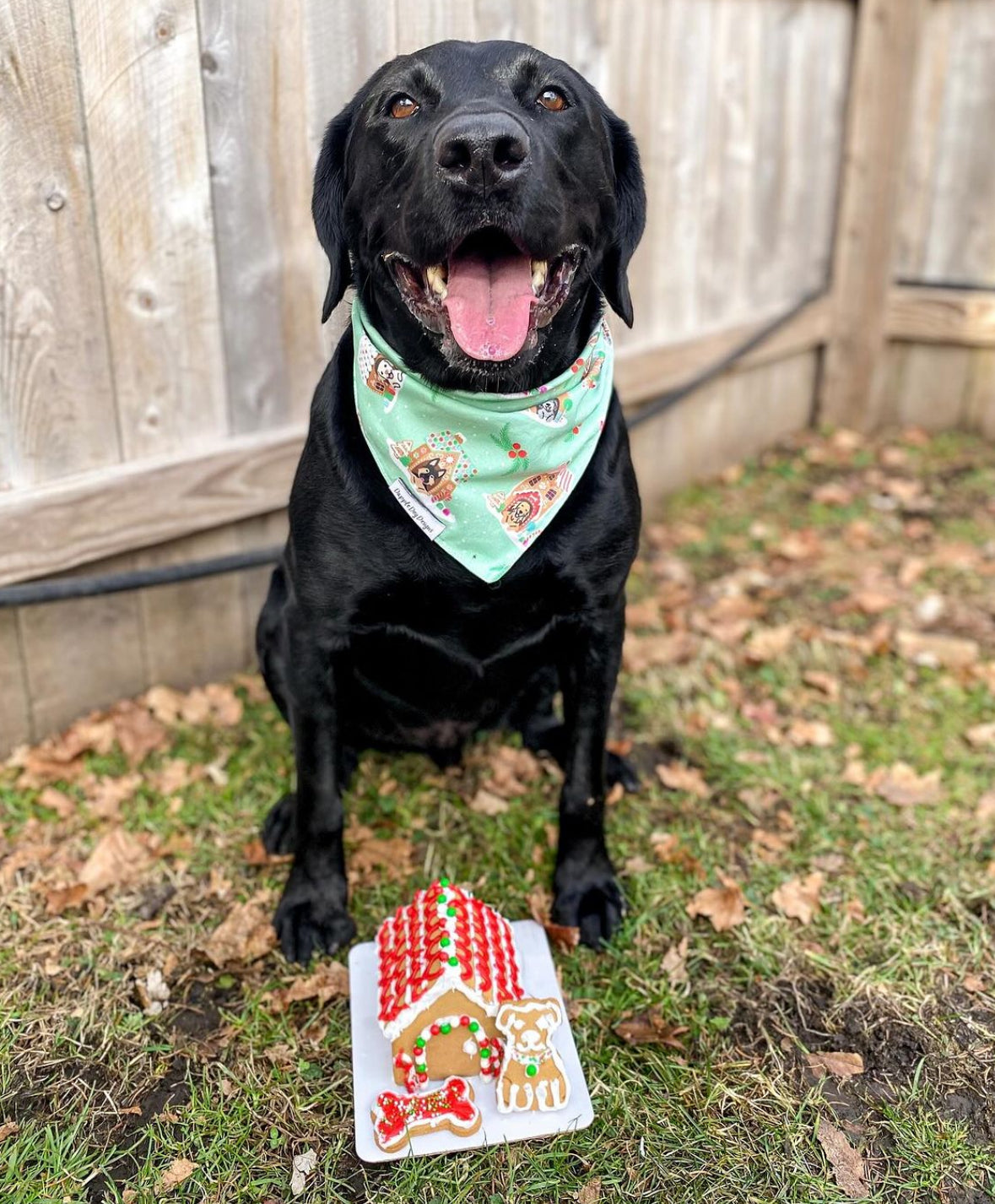 Gingerbread Doghouses Bandana