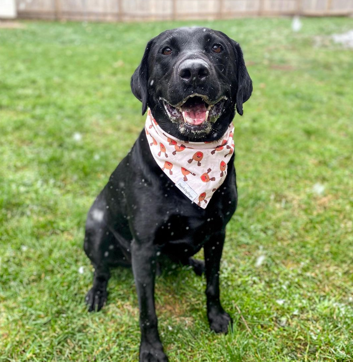 Reindeer Bandana