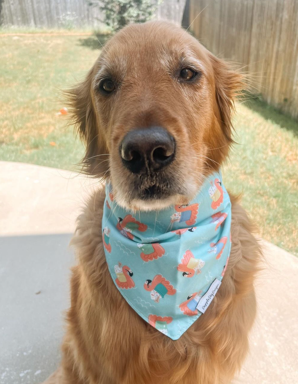 Floating Pup Cups Bandana