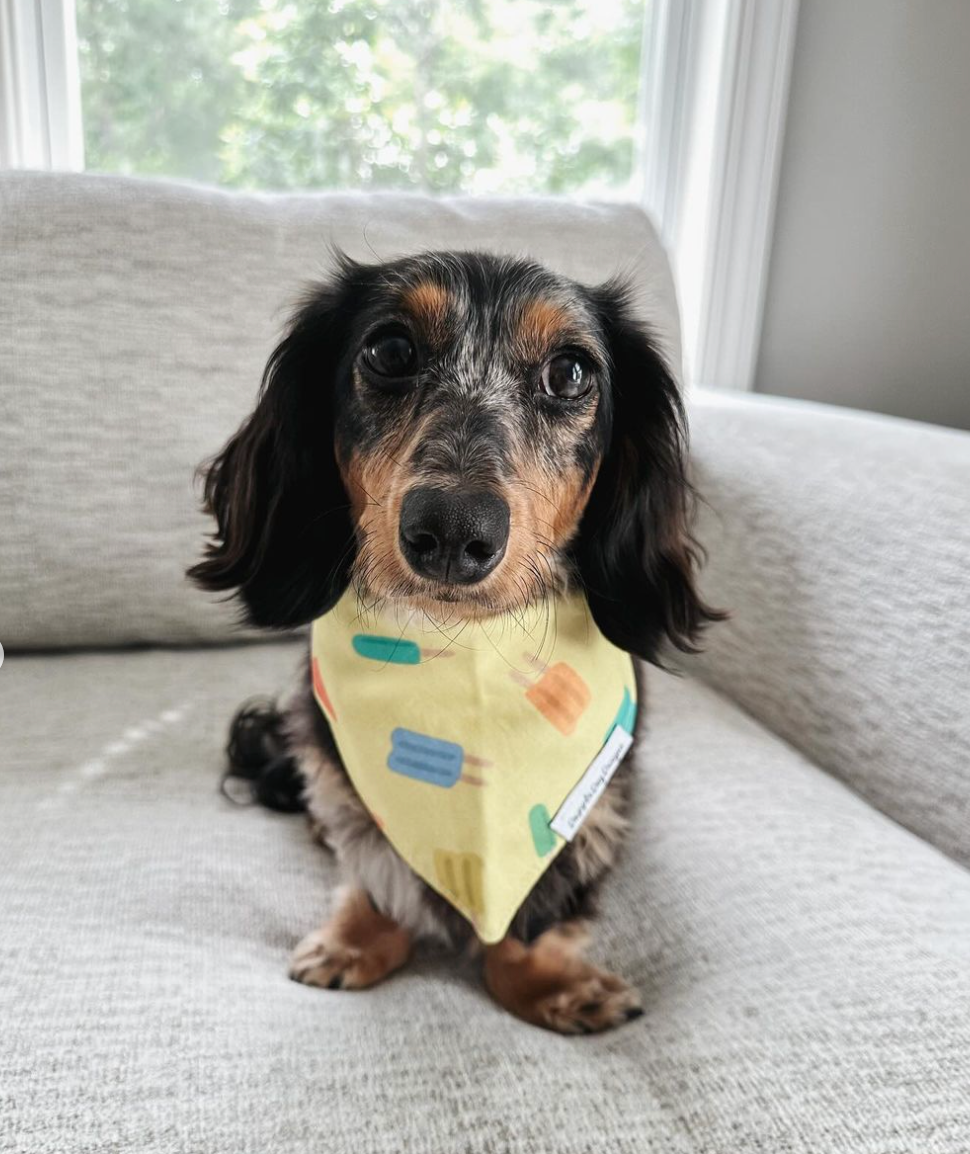 Popsicle Paradise Bandana