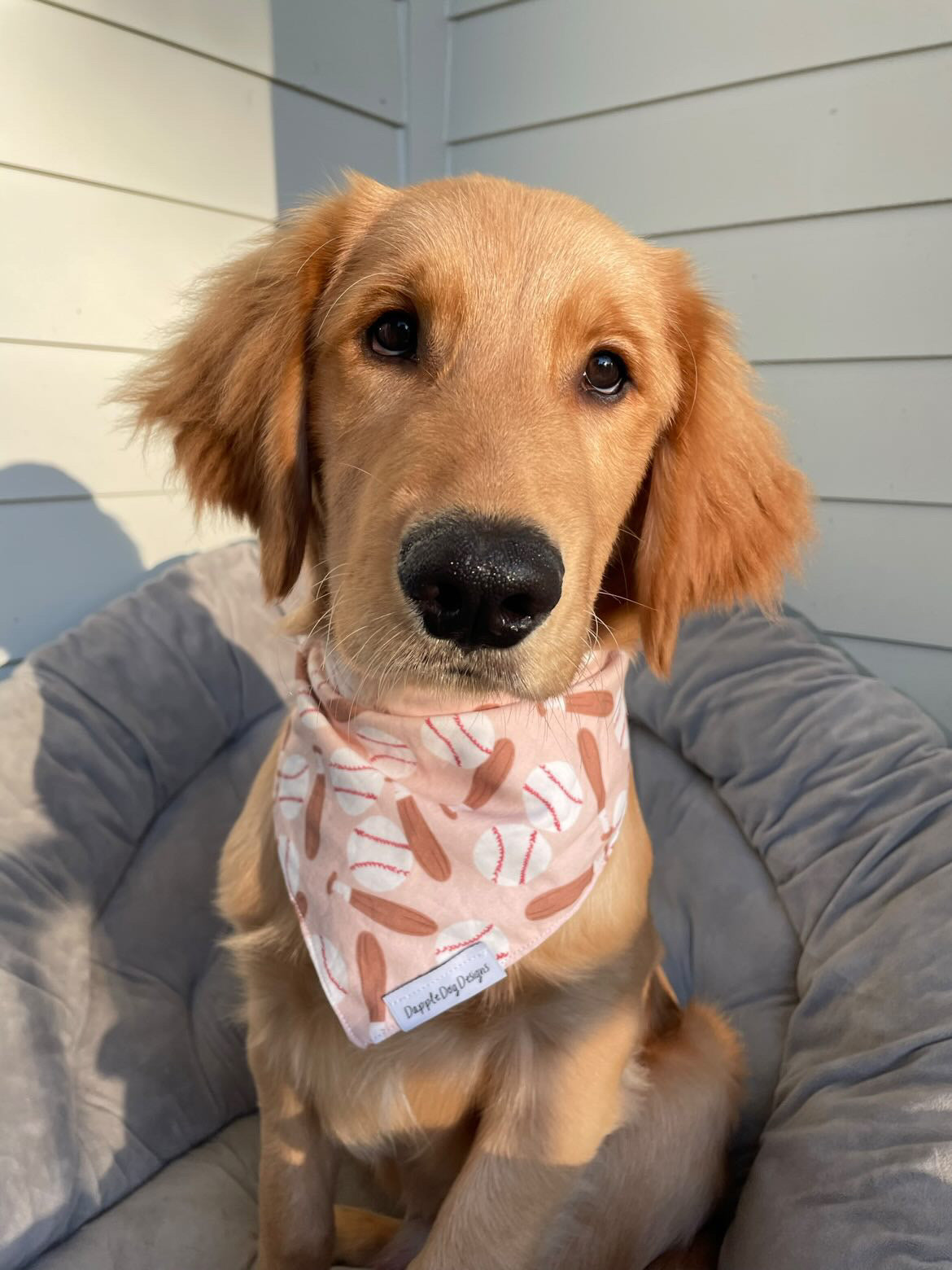 Baseball Bandana