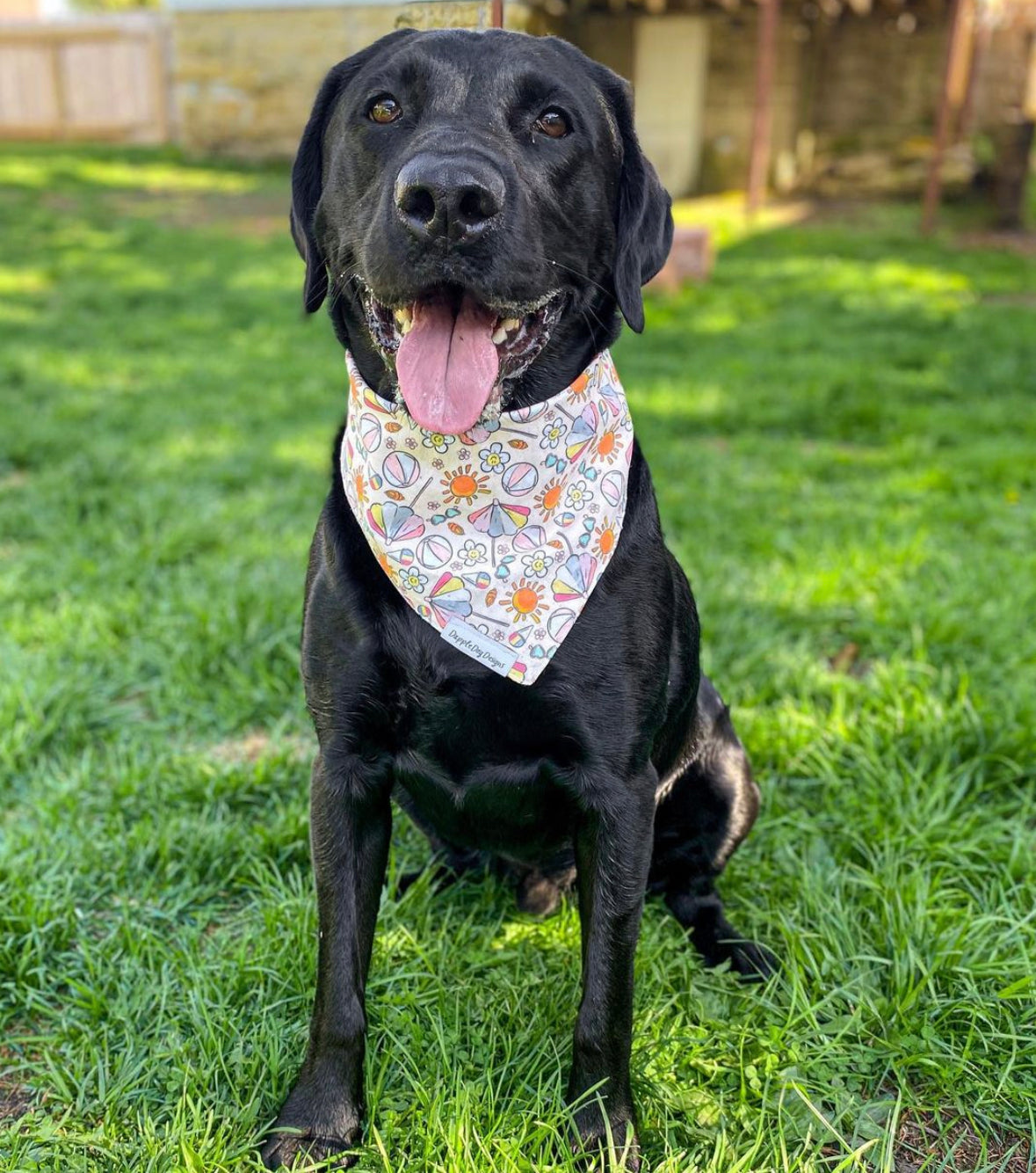 Beach Day Bandana