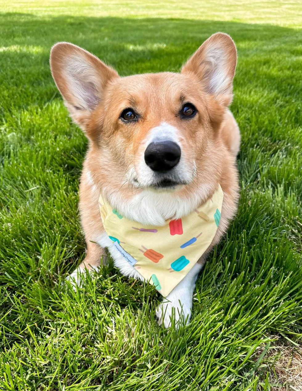 Popsicle Paradise Bandana