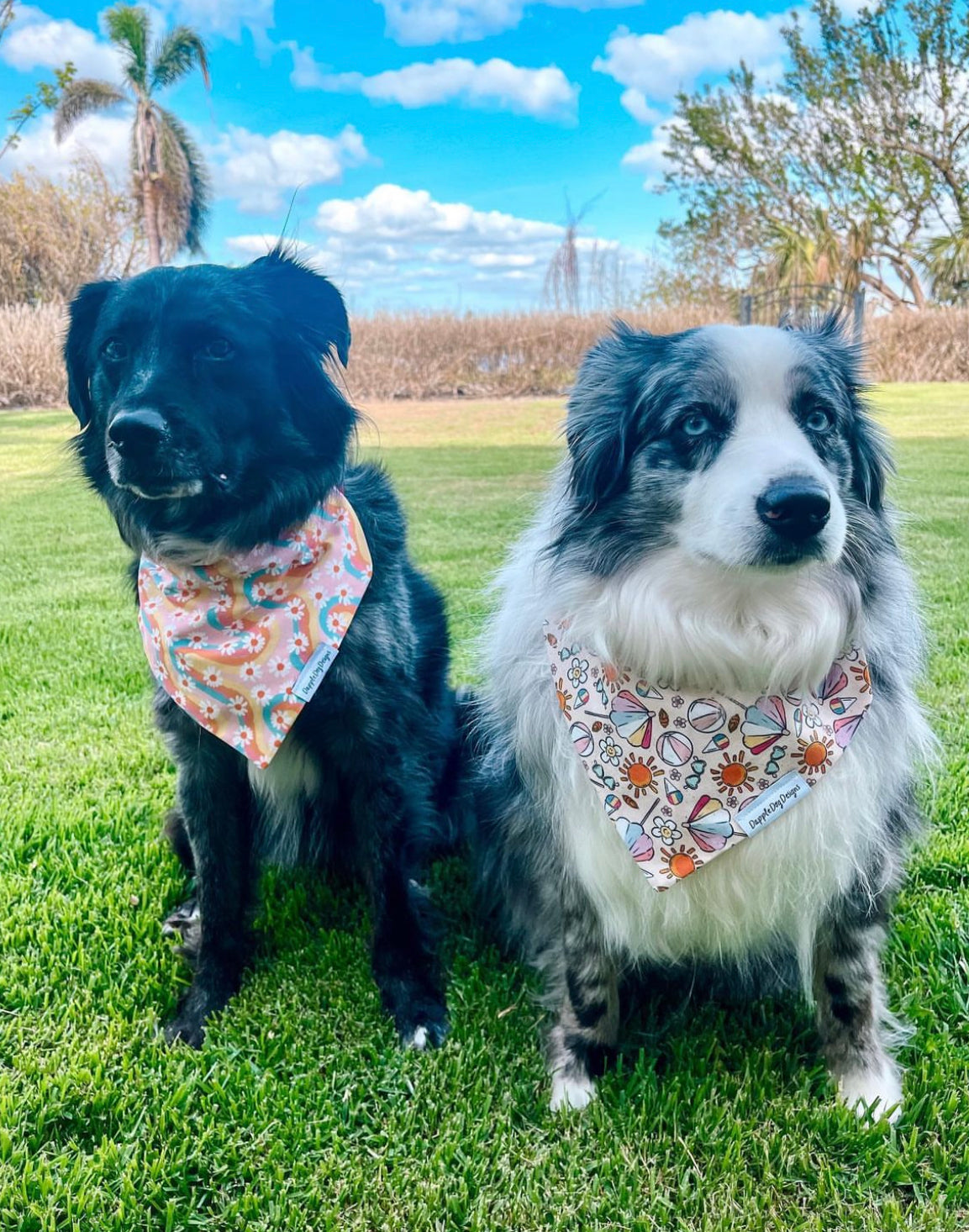 Groovy Daisies Bandana