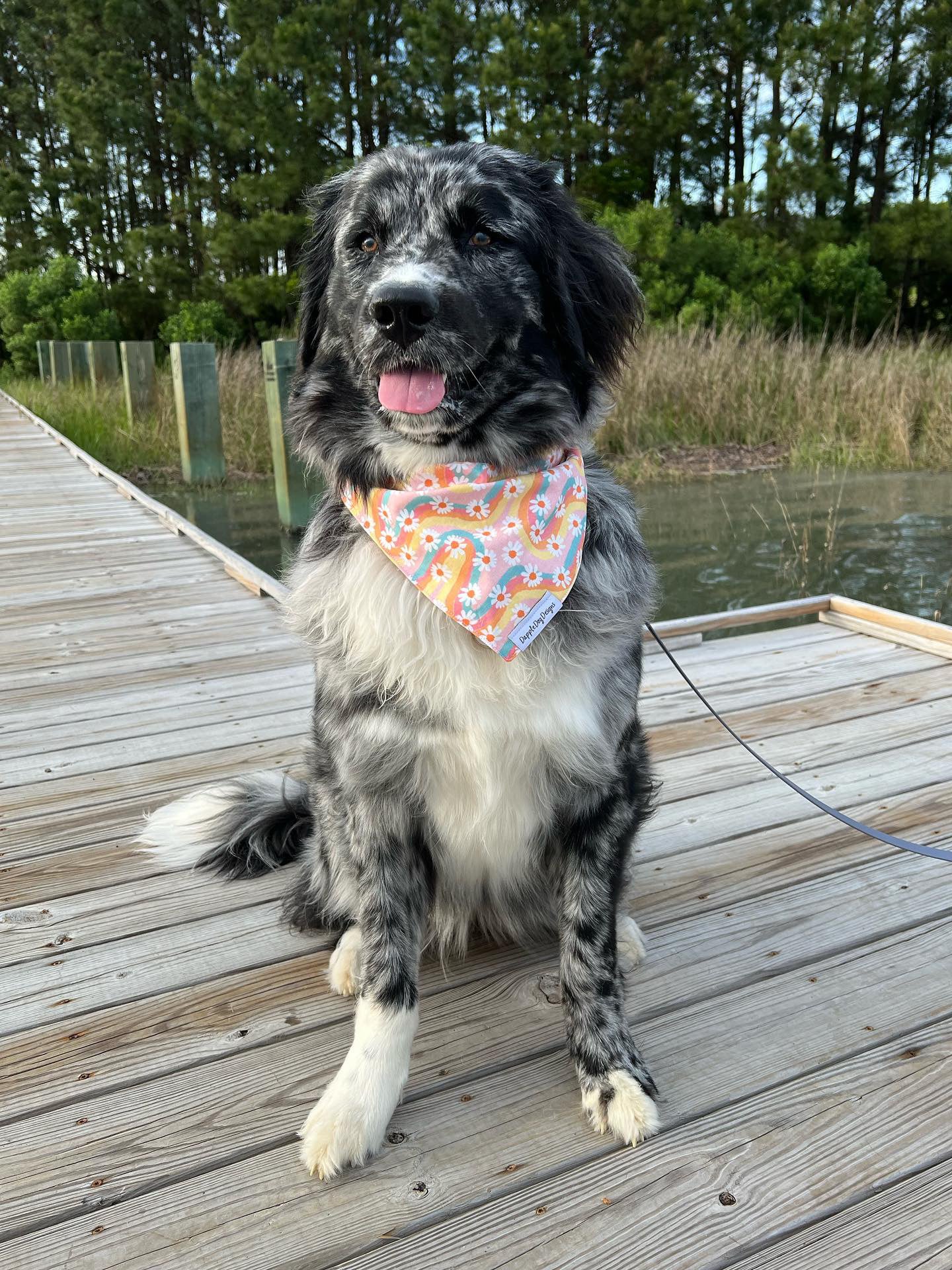 Groovy Daisies Bandana