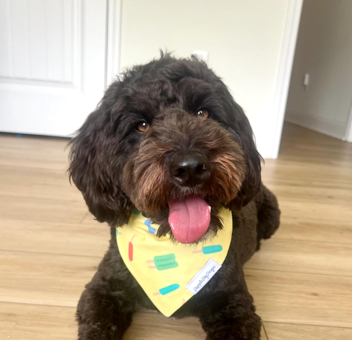 Popsicle Paradise Bandana