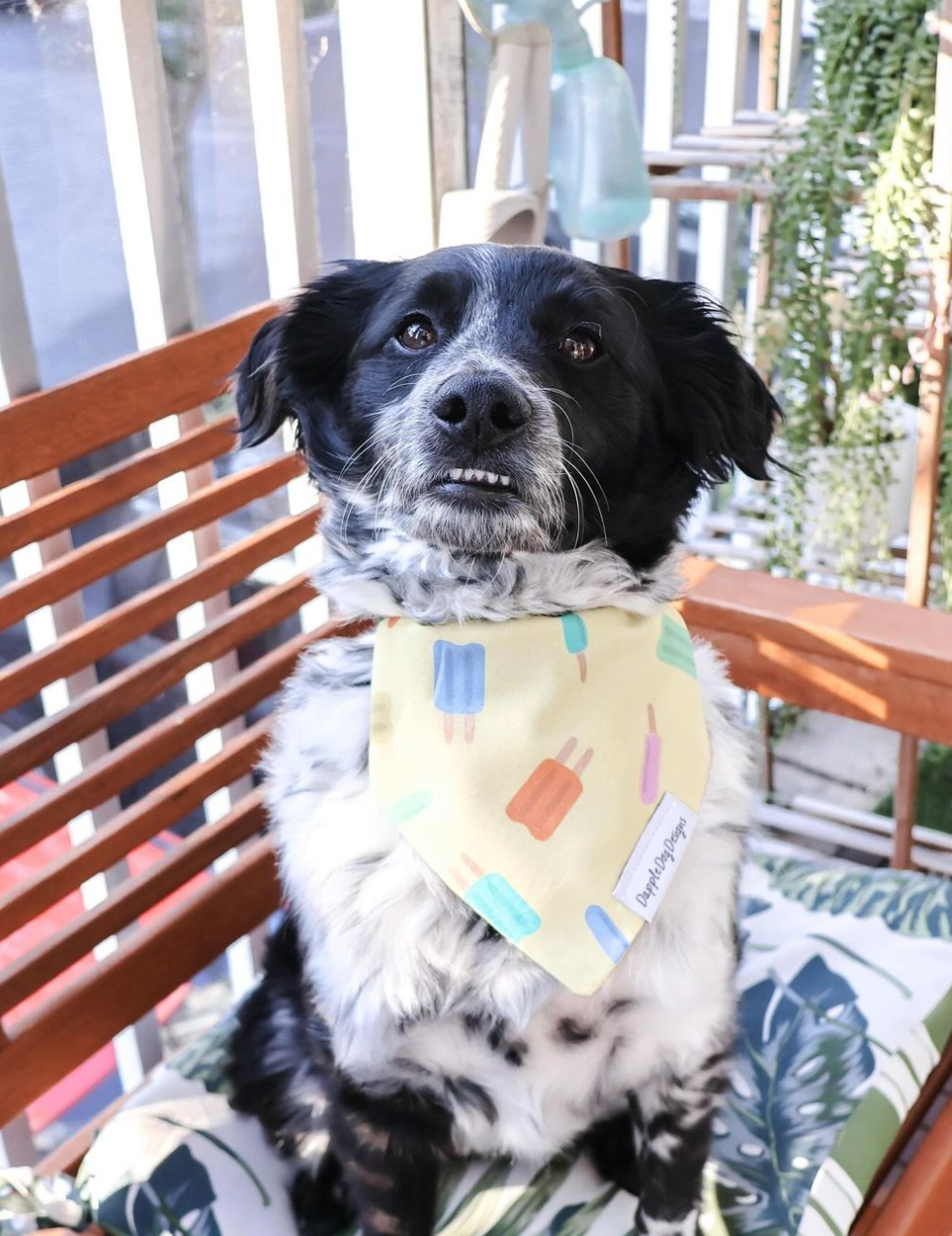 Popsicle Paradise Bandana