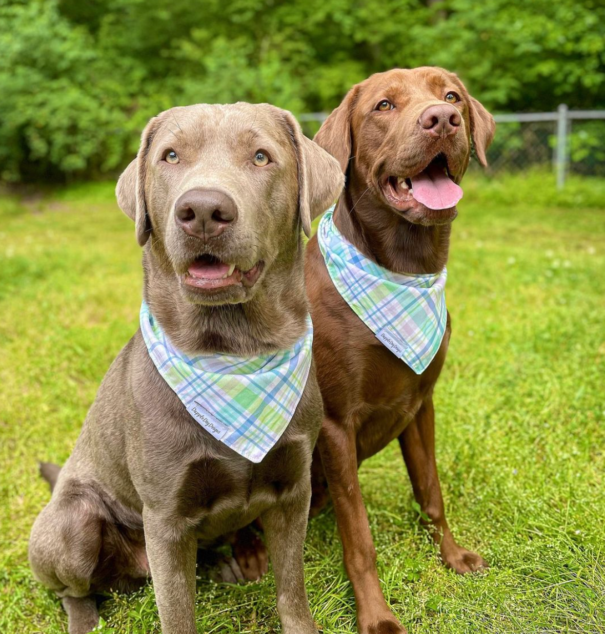 Spring Plaid Bandana