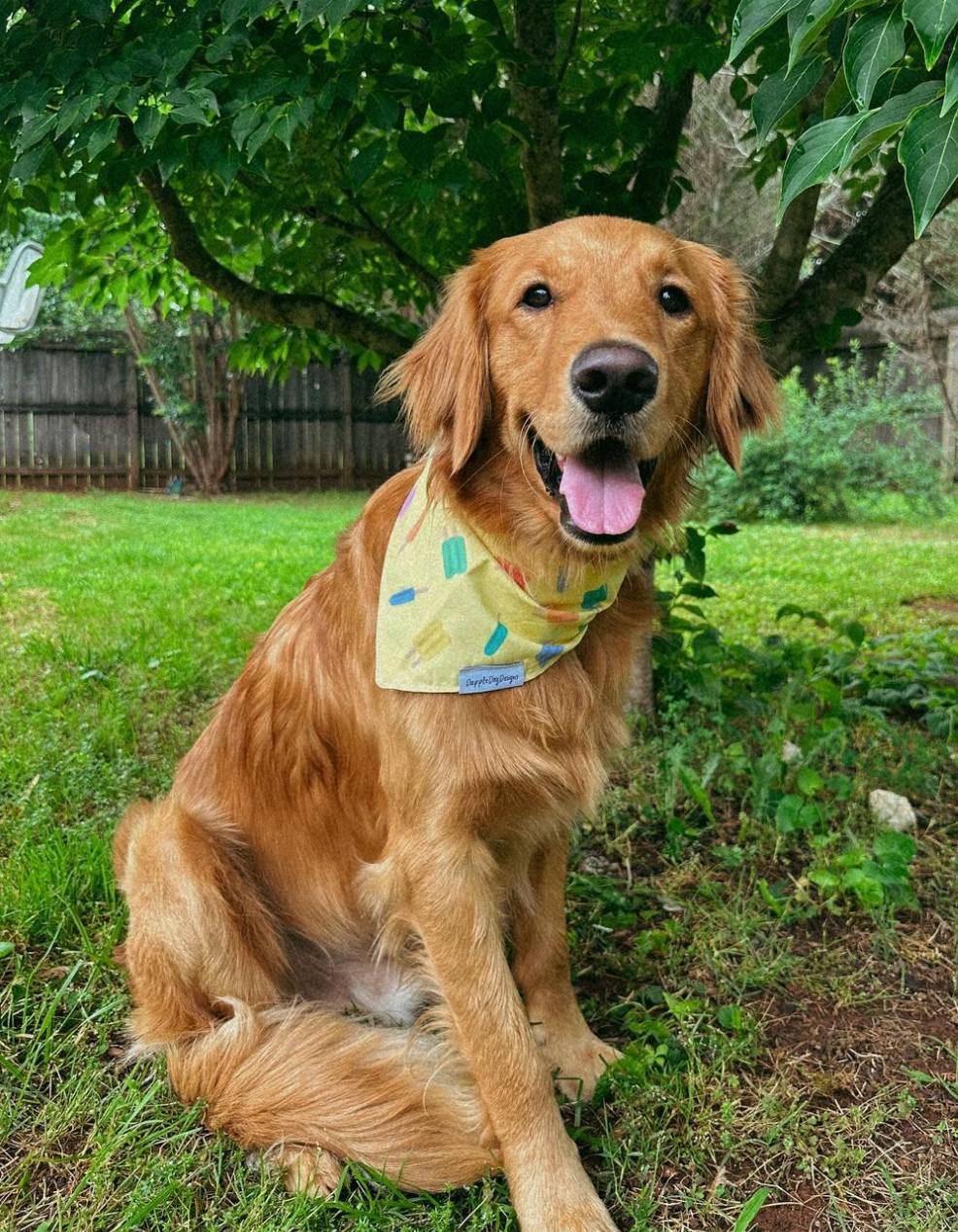 Popsicle Paradise Bandana