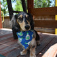Ranch Bandana